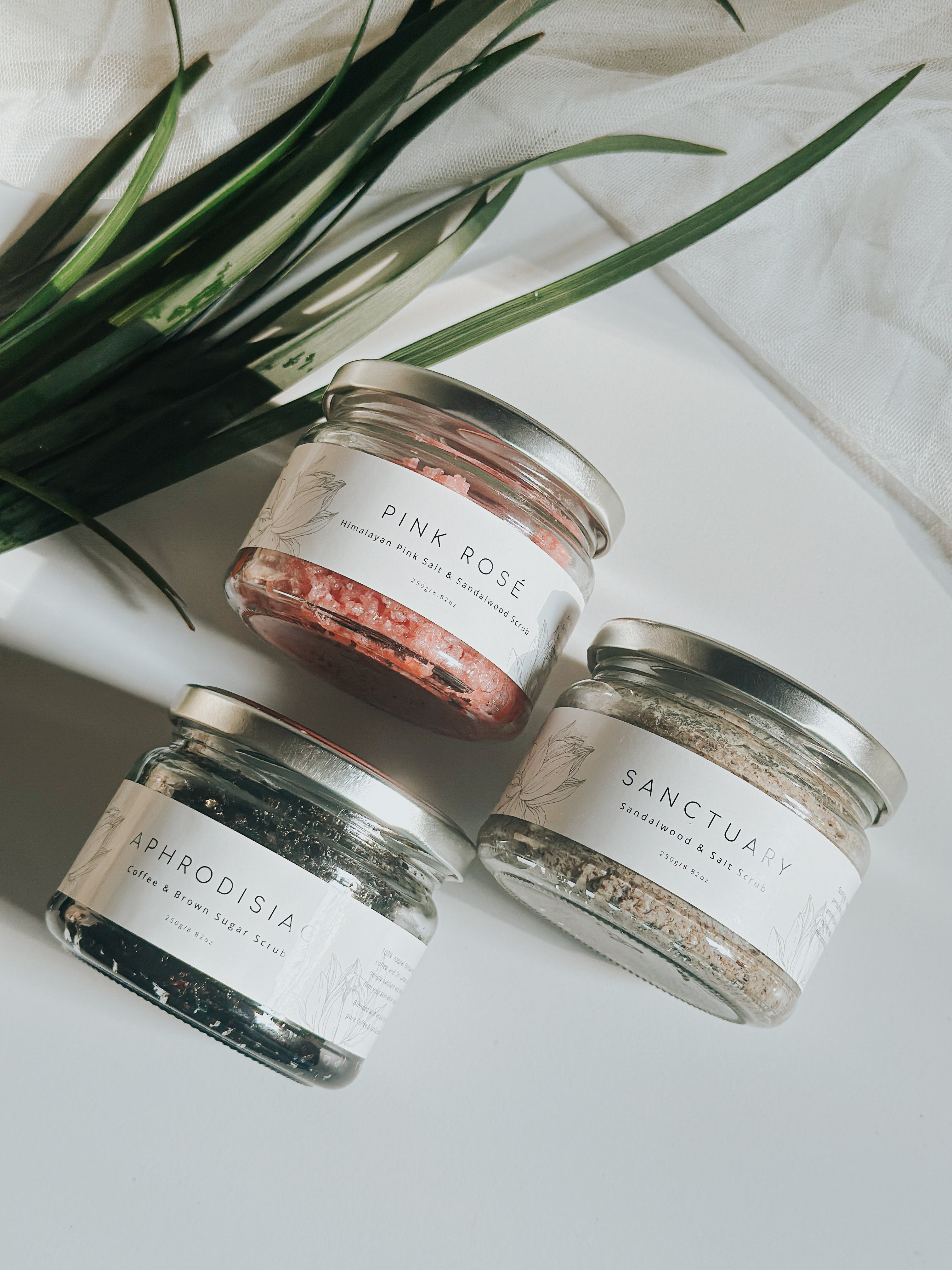 Body Scrubs